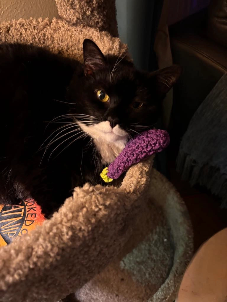 Eggplant Catnip Toy