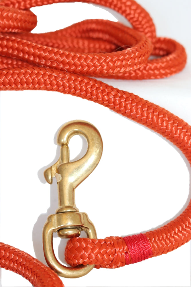 6ft Nautical Rope Dog Leash – Pumpkin