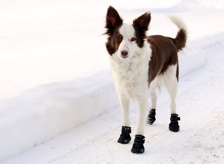 Ultimate Trail Dog Boots - Small