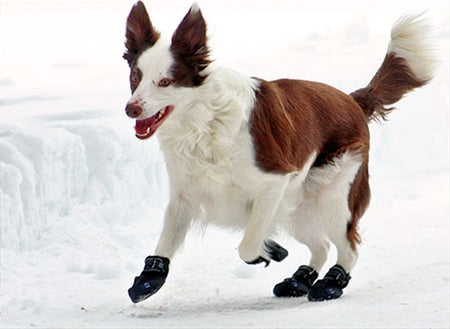 Ultimate Trail Dog Boots - Small