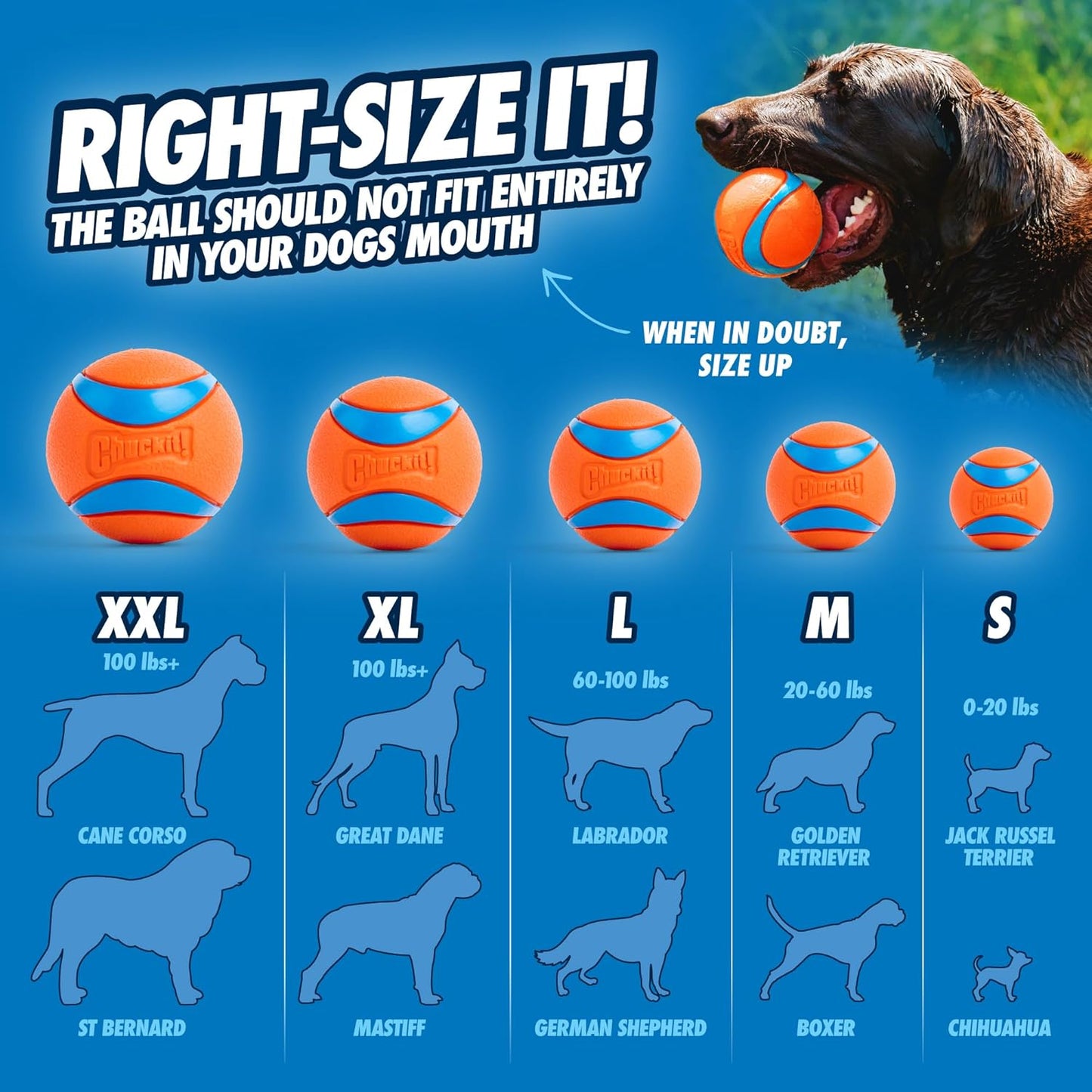 Dog Fetch Toy - Ultra Ball - Medium - ea.