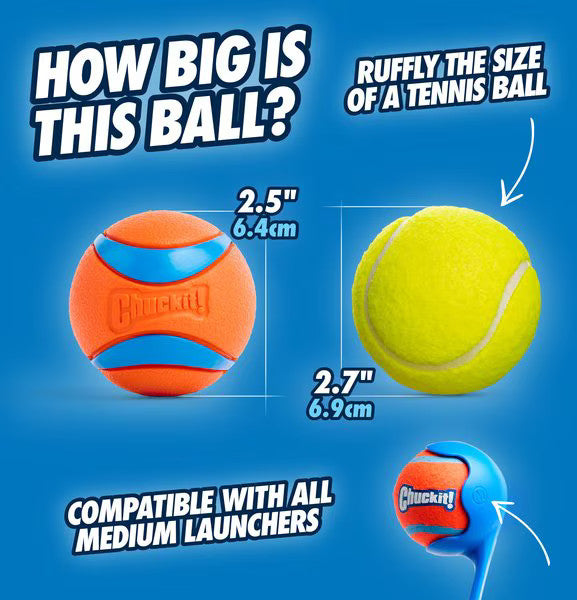 Dog Fetch Toy - Ultra Ball - Medium 2-Pack