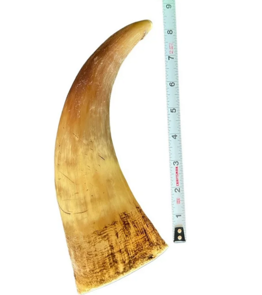 Bull Horn – ea