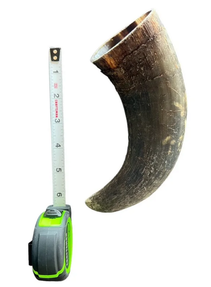 Bull Horn – ea