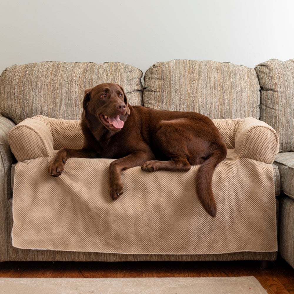 Couch Companion Dog Bed