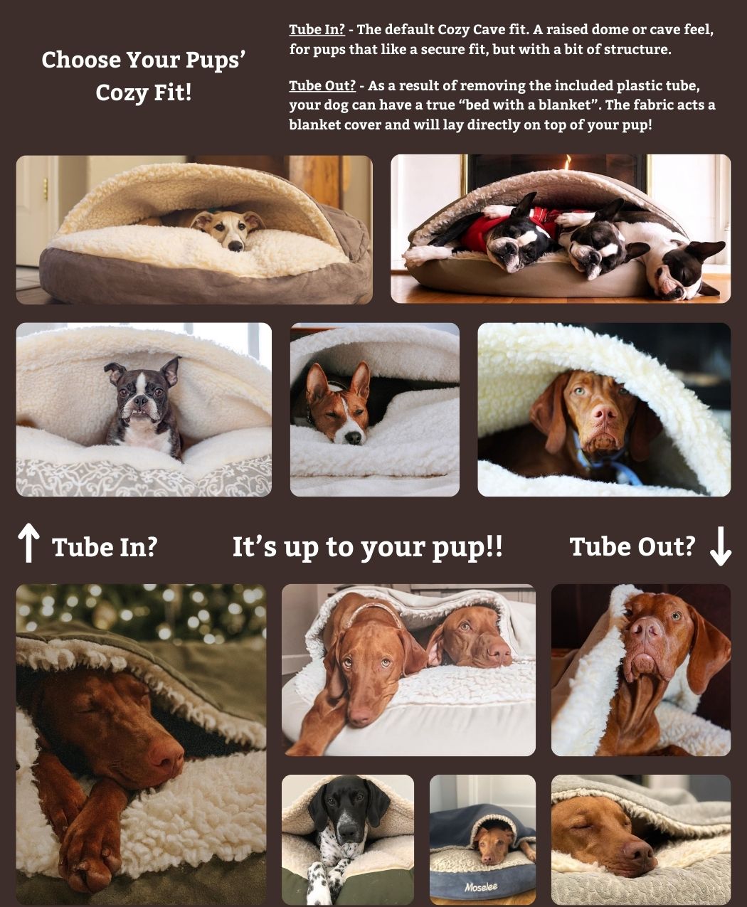 Cozy Cave Dog Bed
