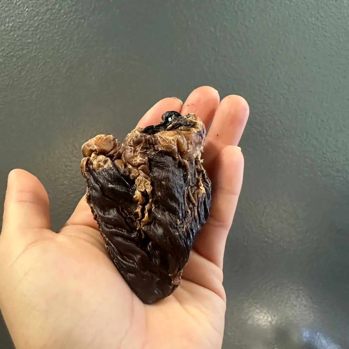 Dehydrated Lamb Heart - Whole
