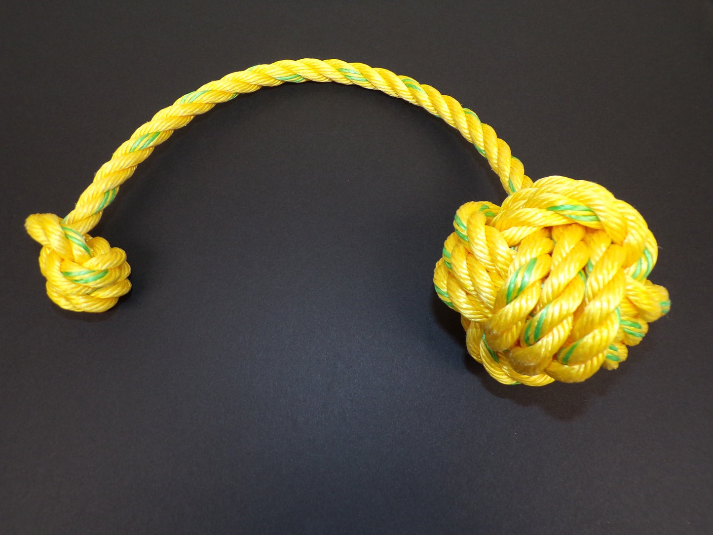 Dog Tug Toy - Lobster Line