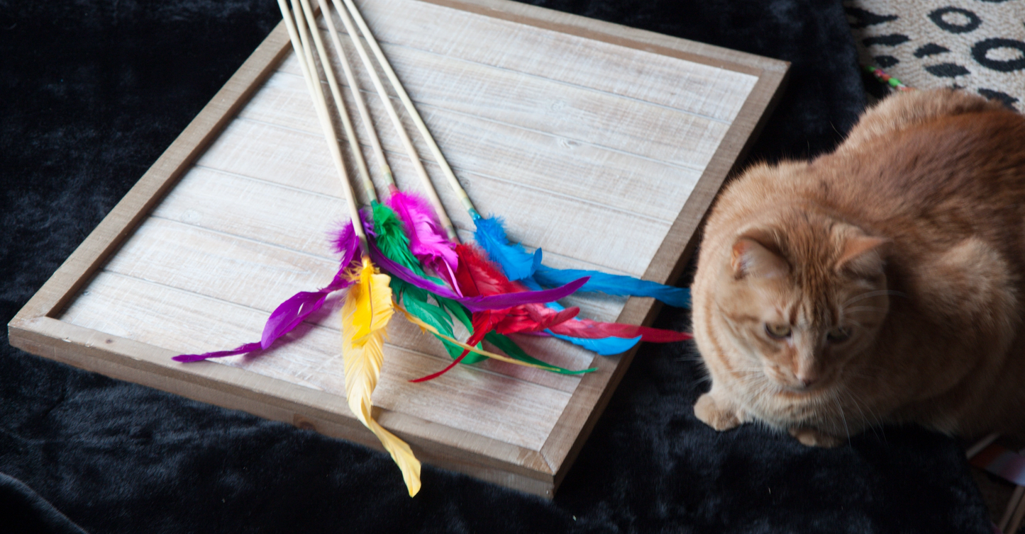 Feather Wand