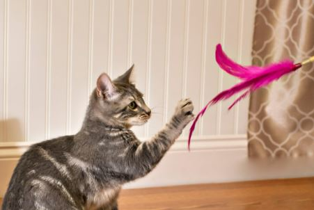 Feather Wand