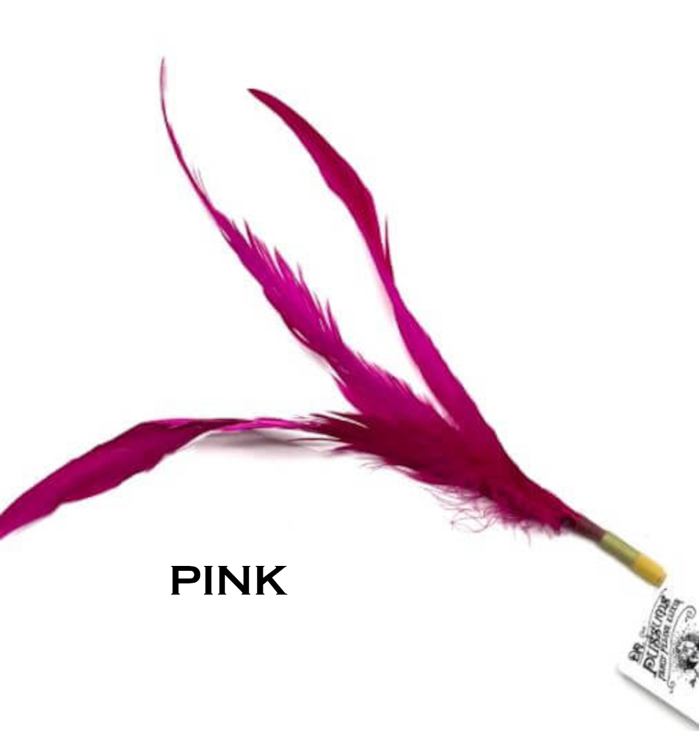 Feather Wand