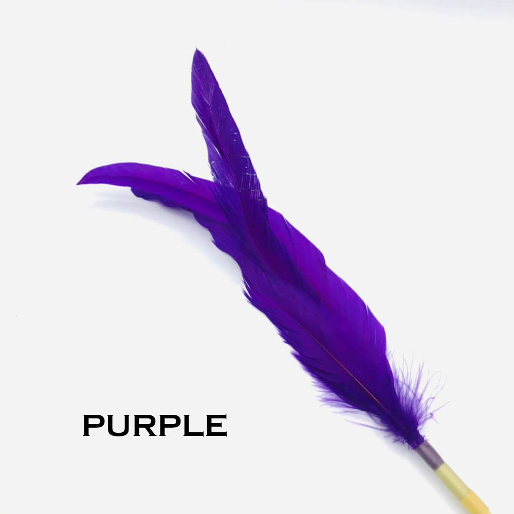 Feather Wand