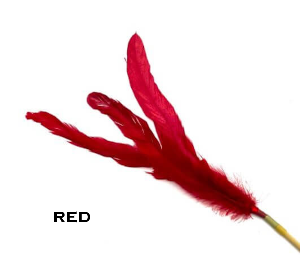 Feather Wand