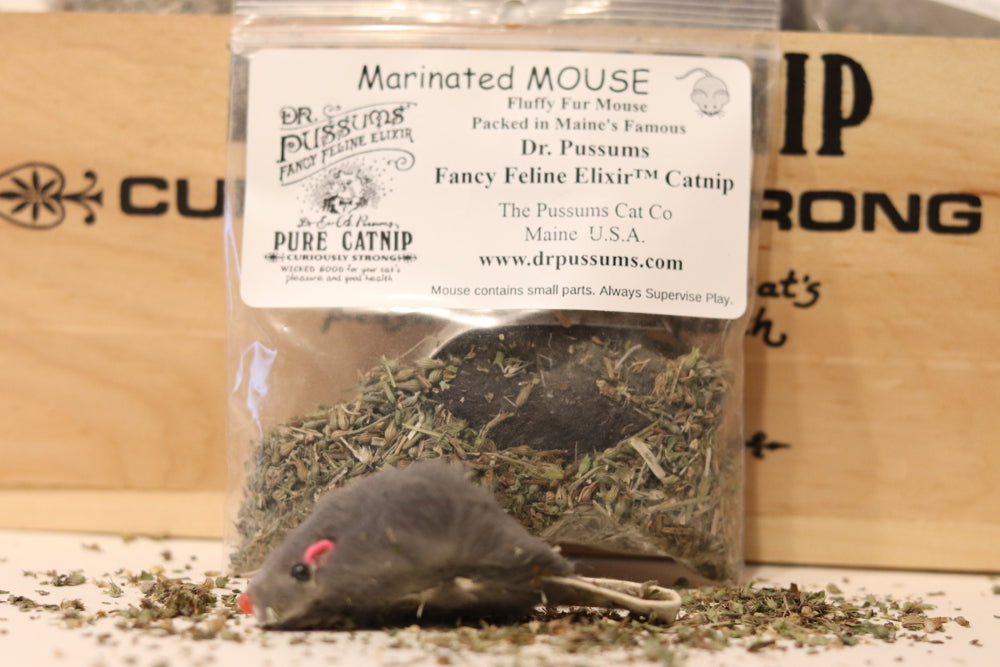 Marinated Catnip Mouse