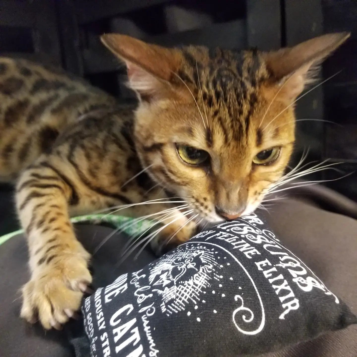 Regular Sack Catnip Toy