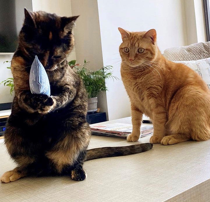 Regular Sack Catnip Toy