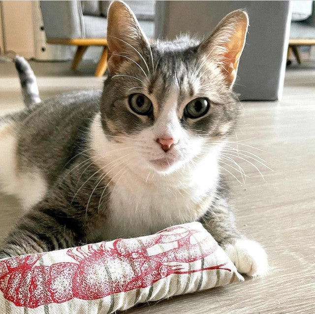 Lobstah Nip