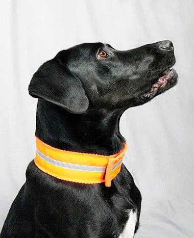 Reflective Fleece Dog Collar - Blaze Orange