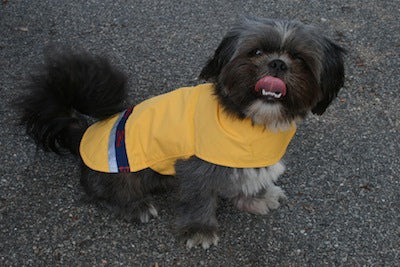 Handmade Dog Rainwear – Yellow