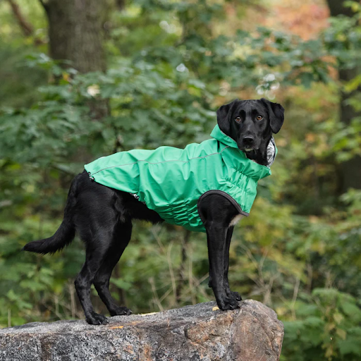 Dog Rain Coat - Green