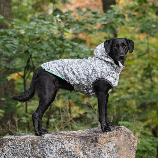 Dog Rain Coat - Green