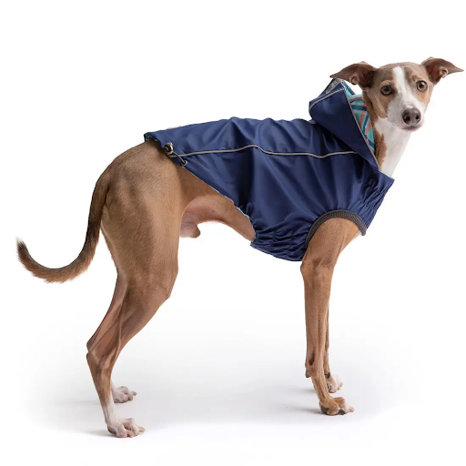 Dog Rain Coat - Navy Blue