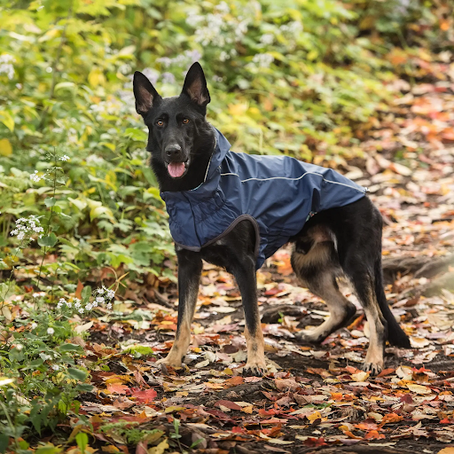 Dog Rain Coat - Navy Blue