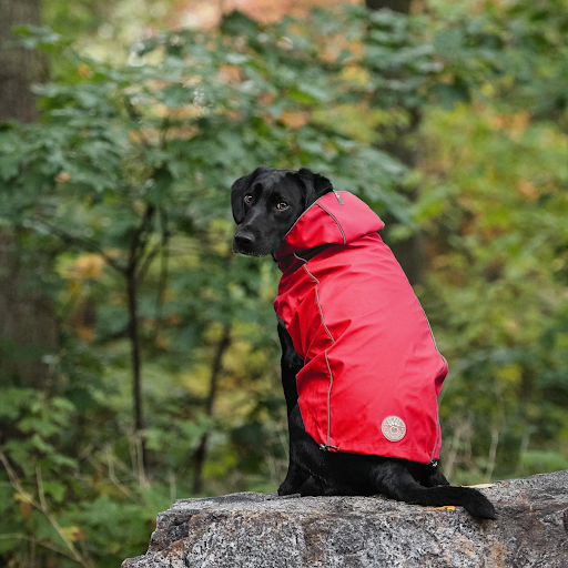 Dog Rain Coat - Red