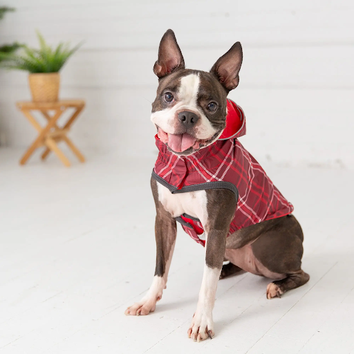 Dog Rain Coat - Red