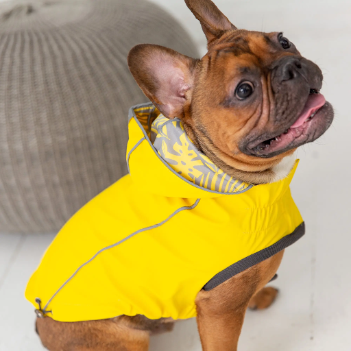 Dog Rain Coat - Yellow