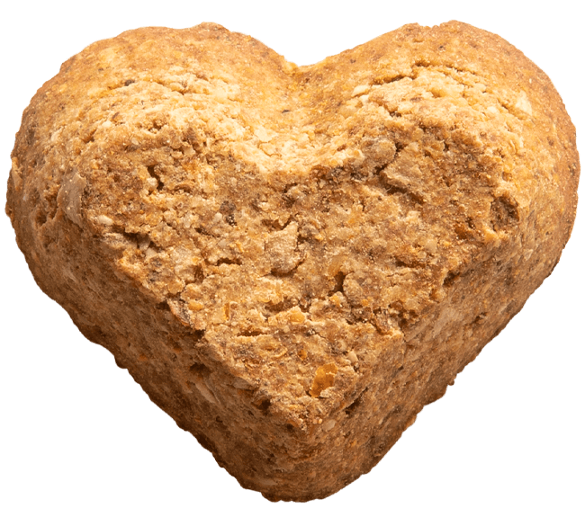 Doghouse Rock Treats - 11oz