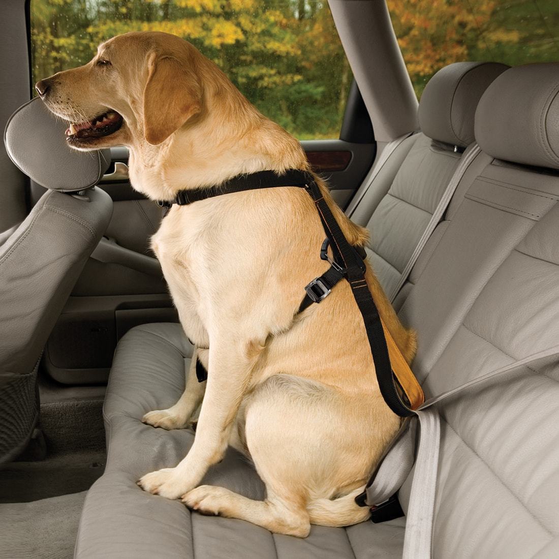 Tru Fit Dog Harness w/ Car Restraint
