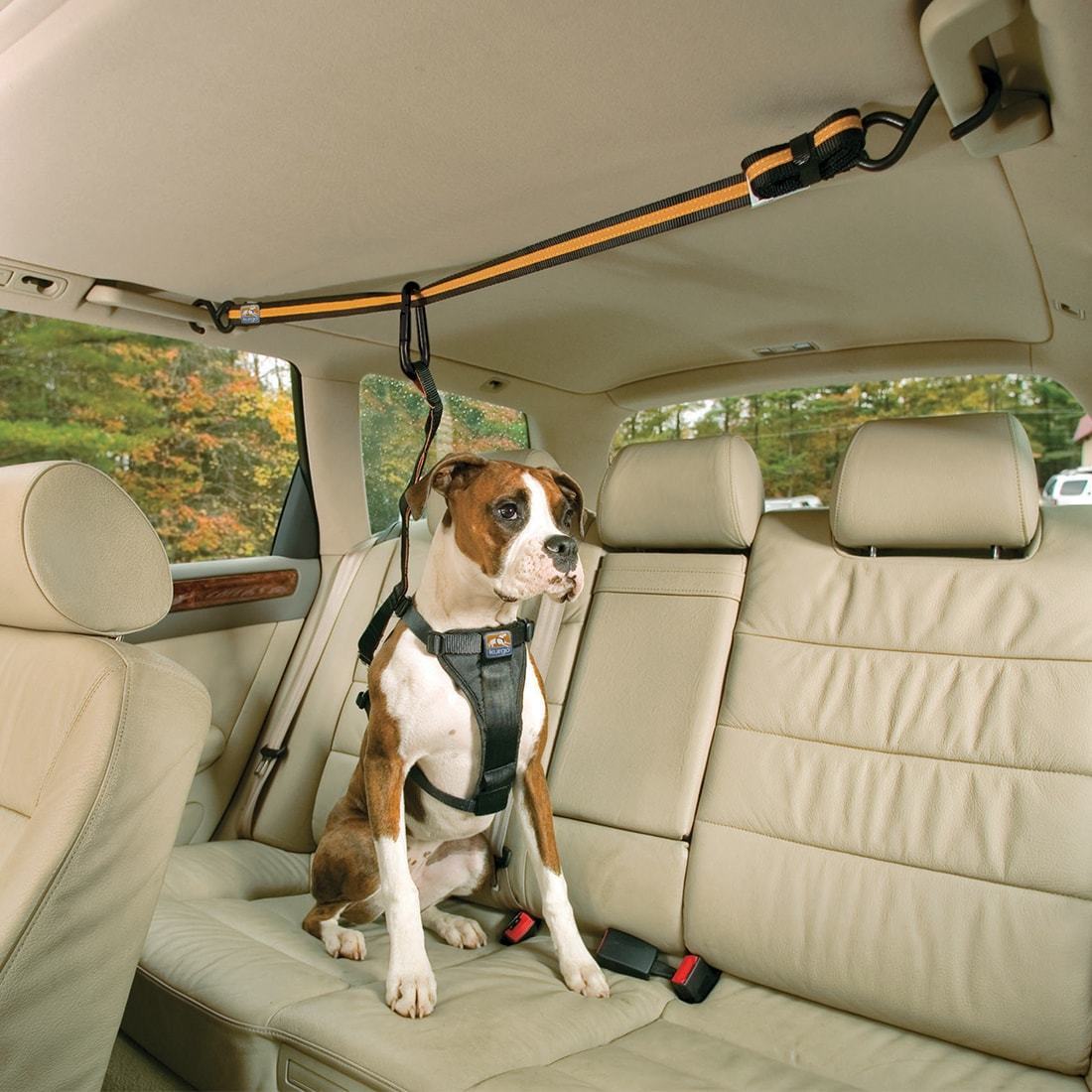 Dog Car Restraint - Zip Line