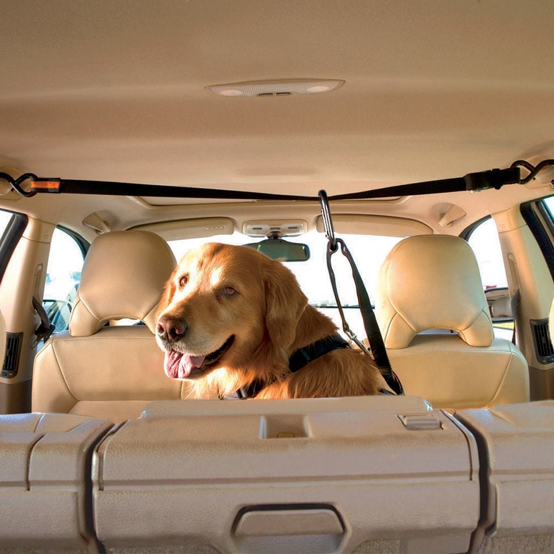 Dog Car Restraint - Zip Line