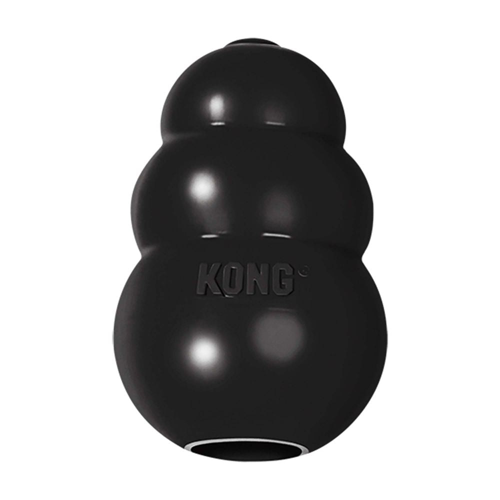 Dog Treat Toy - Kong Extreme