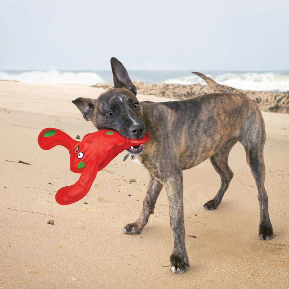 Stuffed Dog Toy - Squeaky Red Lobster