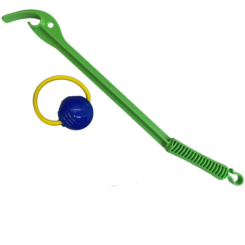 Dog Fetch Toy - Loop & Launch