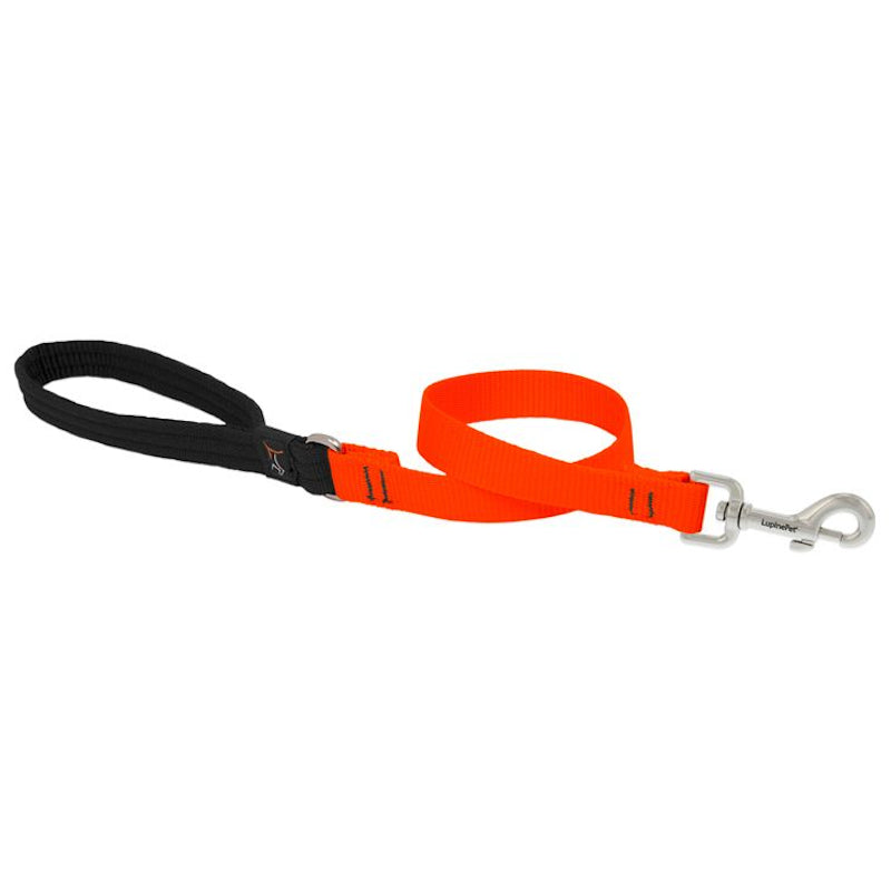 3/4” Nylon Dog Leash x 4ft