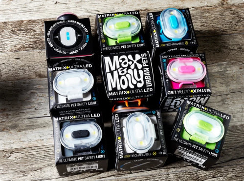 Rechargable Dog Collar LED Safety Light