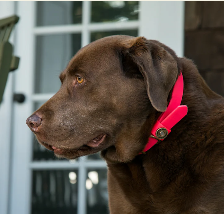 1" Mudproof Dog Collar - Pink