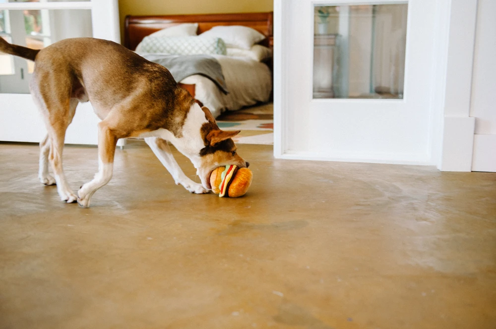 Stuffed Dog Toy - Hamburger