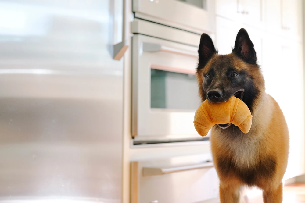 Stuffed Dog Toy - Plush Croissant