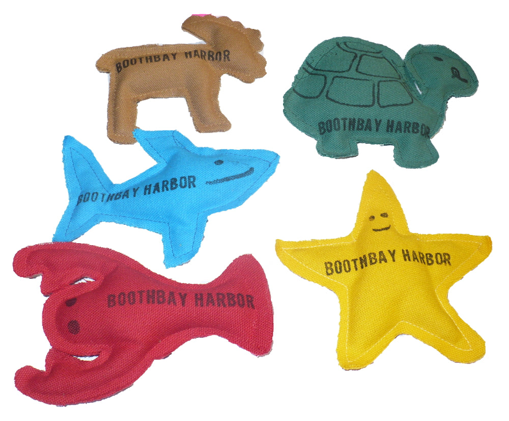Catnip Toy - BBH Starfish Yellow