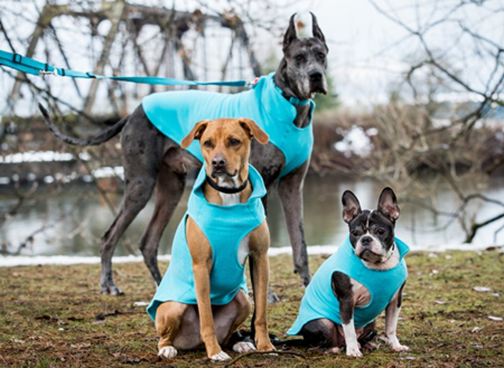 Dog Fleece - Black / Lime