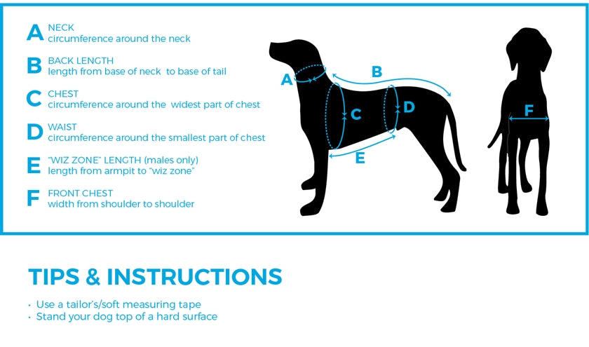 Dog Fleece - Arctic Blue