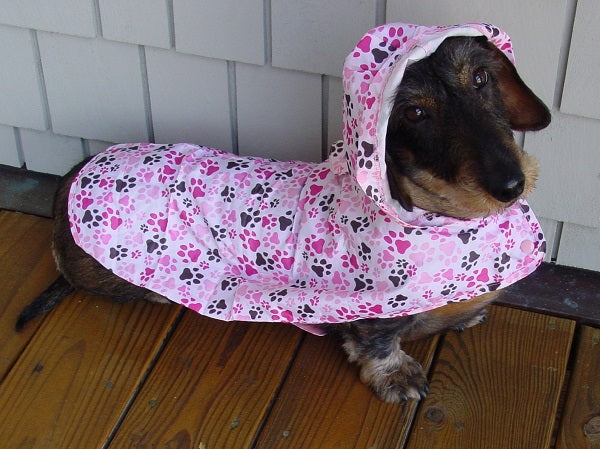 Dog Poncho - Pawprint