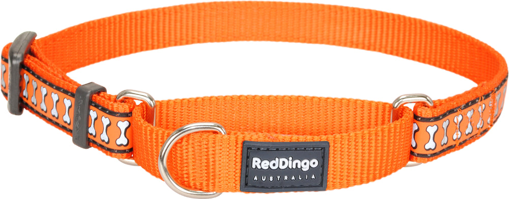 12mm Martingale Dog Collar - XSmall