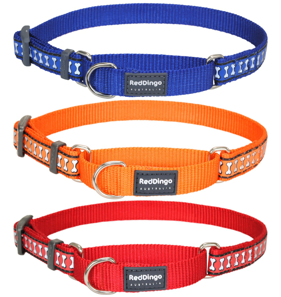 20mm Martingale Dog Collar - Medium