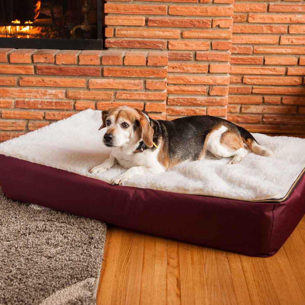 Orthopedic / FurTop Dog Bed