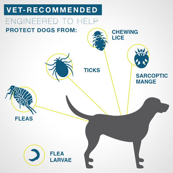 Flea & Tick Collar